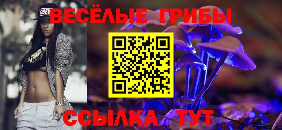 Спасск-Дальний  Галлюциногенные грибы ЛСД  купить  цена  Вход с VPN  Галлюциногенные грибы GOLDEN TEACHER 